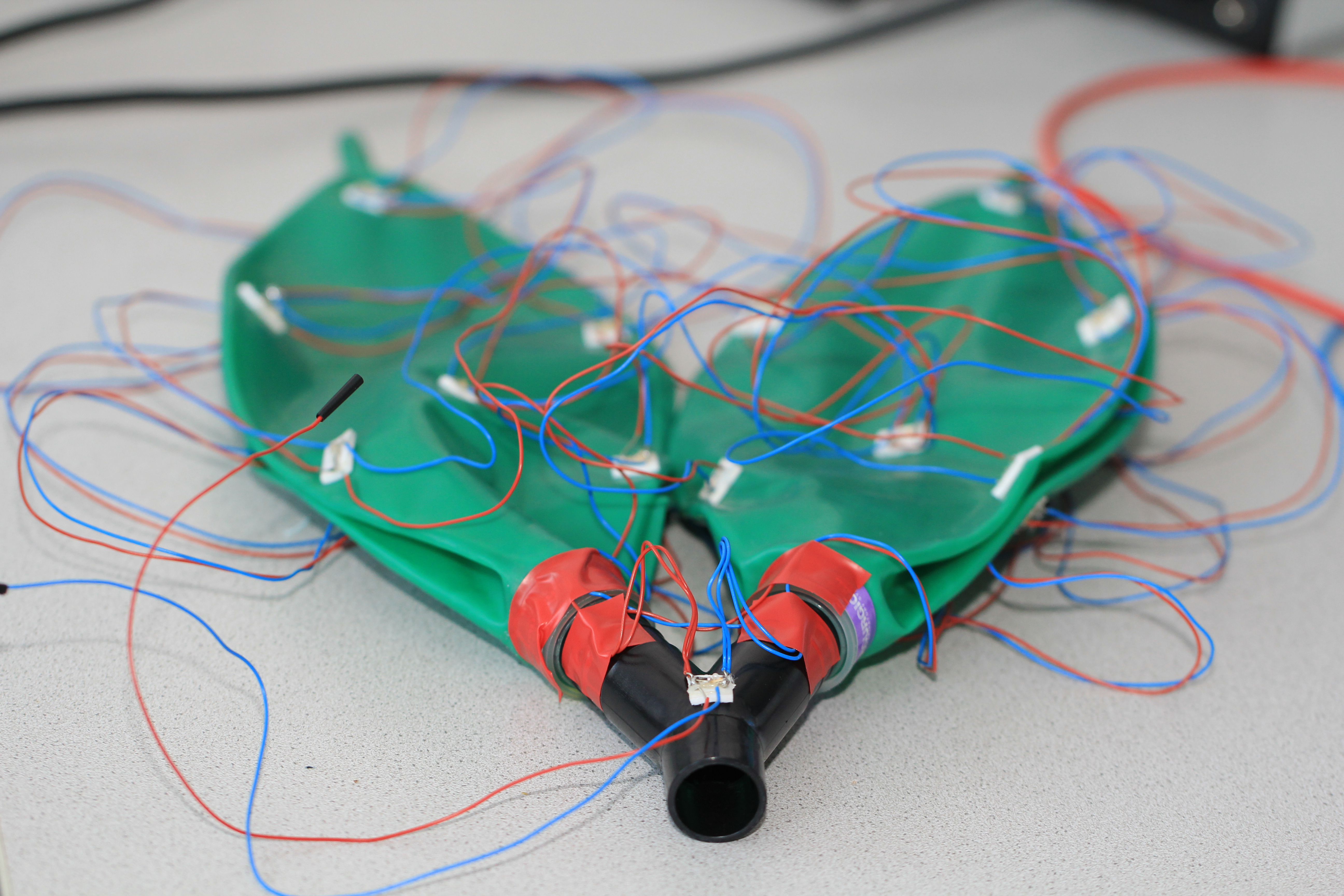 Active Motion Analysis